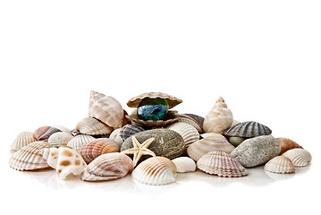 Image showing various color shells with stylized pearl isolated on white