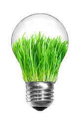 Image showing Natural energy concept. Light bulb with green grass inside isola