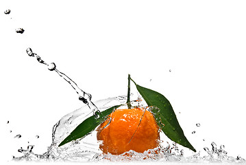 Image showing Tangerine with green leaves and water splash isolated on white