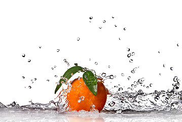 Image showing Tangerine with water splash isolated on white