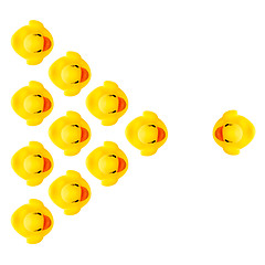 Image showing rubber yellow ducks isolated on white