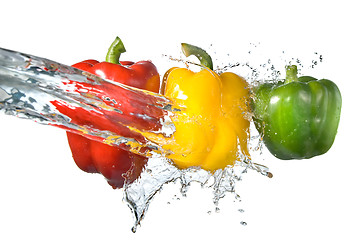 Image showing red, yellow and green pepper with water splash isolated on white