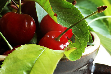 Image showing sweet cherrys with leafs1