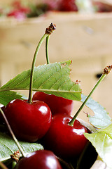 Image showing sweet cherrys with leafs