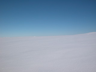 Image showing Winther blue