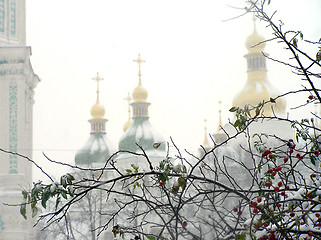 Image showing Brunches of dog rose in snow against the church