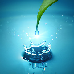 Image showing Green leaf with water drop