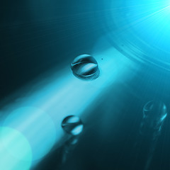 Image showing Water drops
