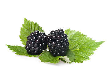 Image showing blackberry on green leaf isolated on white