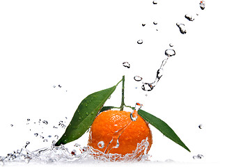 Image showing Tangerine with green leaves and water splash isolated on white