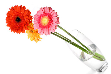 Image showing Bouquet from daisy-gerbera in glass vase isolated on white