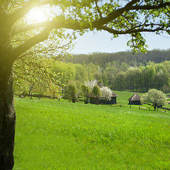 Image showing old houses on green meadow