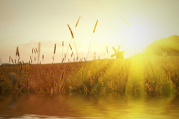 Image showing field on sunset with water reflection