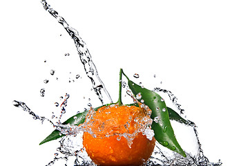 Image showing Tangerine with green leaves and water splash isolated on white