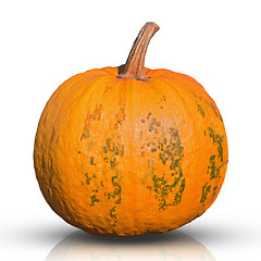 Image showing pumpkin isolated on white 