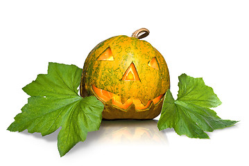 Image showing halloween pumpkin with leaves isolated on white