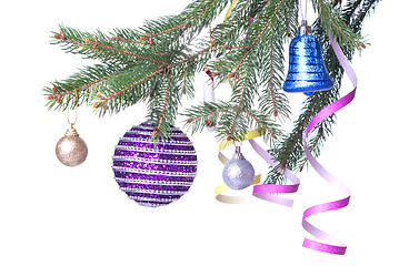 Image showing Christmas balls and decoration on fir tree branch isolated on wh