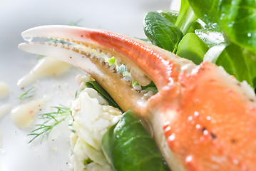 Image showing salad with crab