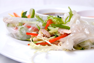 Image showing chinese rolls with vegetables on the plate