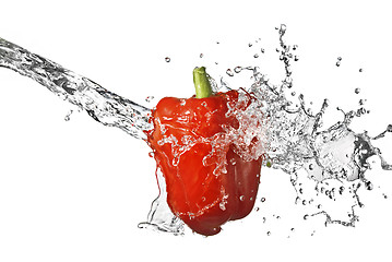 Image showing fresh water splash on red pepper isolated on white