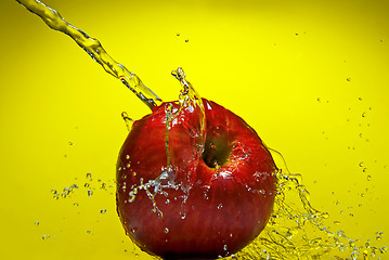 Image showing Green apple with water splash on blue background