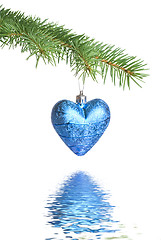 Image showing Christmas ball on fir tree branch with reflection