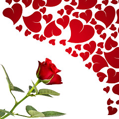 Image showing Red rose and hearts for lovers