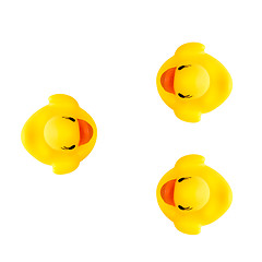 Image showing three rubber yellow ducks isolated on white
