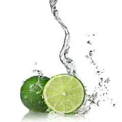 Image showing Water splash on lime isolated on white