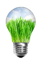 Image showing Natural energy concept. Light bulb with summer meadow inside iso