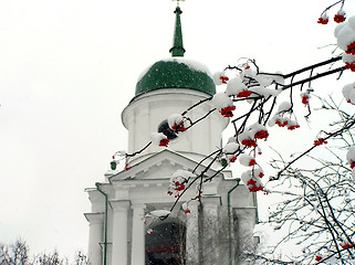 Image showing Brunches of ashberry in snow against the church