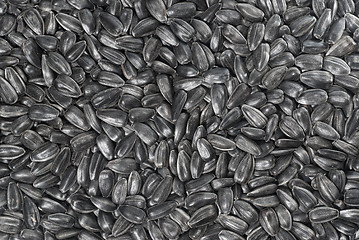 Image showing background from black sunflower seeds