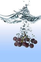 Image showing blue grape dropped into water with splash isolated on white