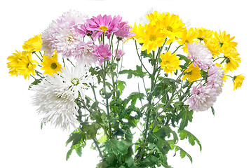 Image showing chrysanthemum bouquet isolated on white