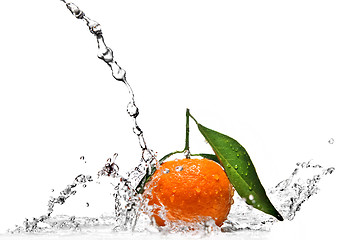 Image showing Tangerine with water splash isolated on white