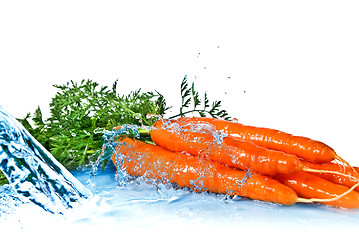 Image showing fresh water splash on carrot with leaves isolated on white