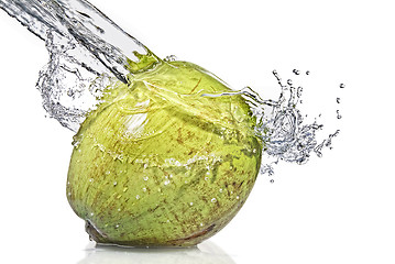 Image showing fresh water splash on coconut isolated on white