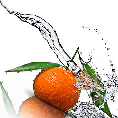 Image showing Tangerine with green leaves and water splash isolated on white