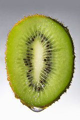 Image showing Close up kiwi with water drop