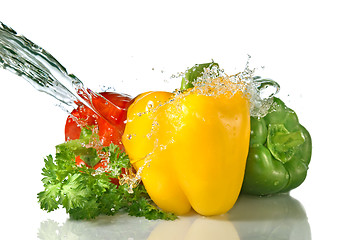 Image showing red, yellow, green pepper and parsley with water splash isolated