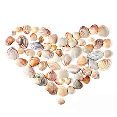 Image showing heart for valentine's day from color shells isolated on white