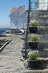 Image showing House and flowers in Loshavn, Norway