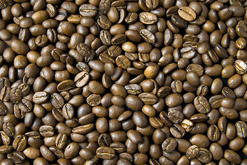 Image showing background from coffee beans