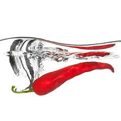 Image showing red pepper dropped into water with splash isolated on white