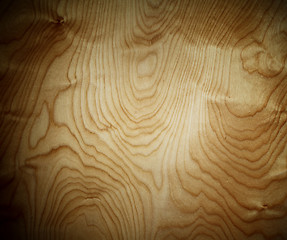 Image showing grunge vein wood panel