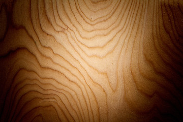 Image showing wood panel background