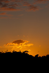 Image showing Summer Solstice Sunset 2011