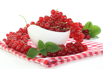 Image showing red Currants