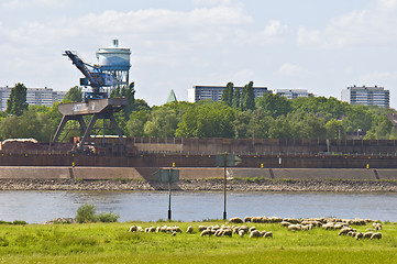 Image showing The Rhine