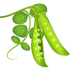 Image showing Green peas